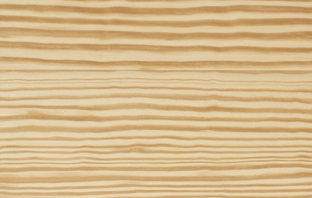 HOLZBAUFORUM FRIEDRICHSHAFEN